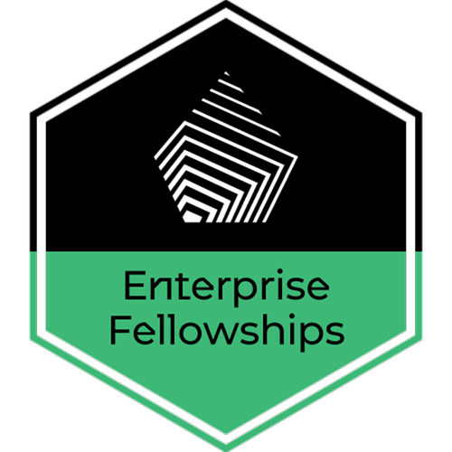 Royal Academy of Engineering Enterprise Fellowship badge